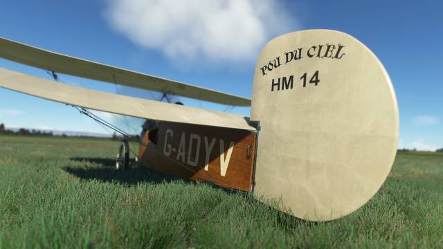 Rara-Avis Sim Flying Flea