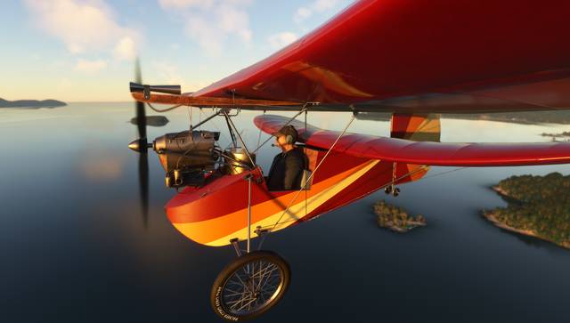 Rara-Avis Sim Flying Flea