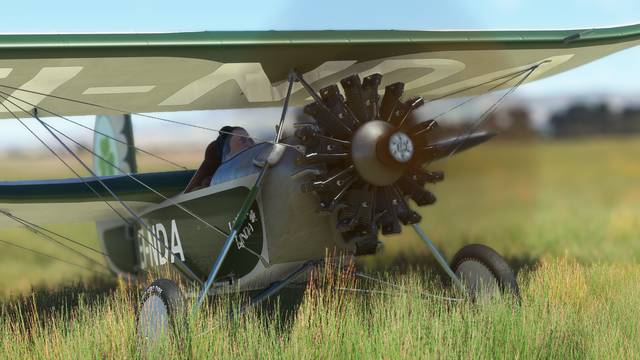 Rara-Avis Sim Flying Flea